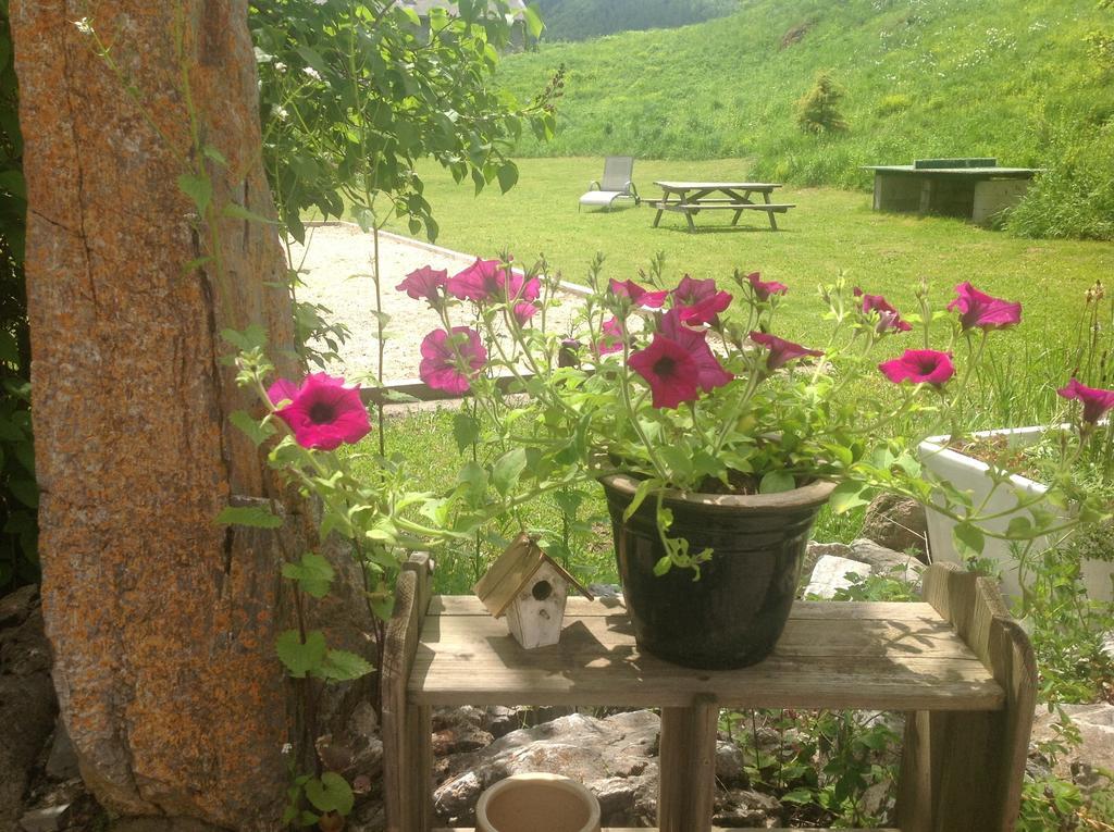Chateau De Camurac エクステリア 写真